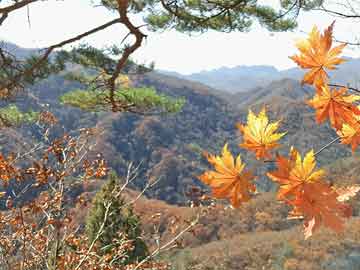 印度坠机事故造成至少265人遇难